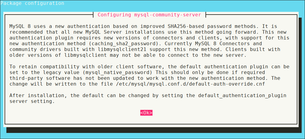 Authentication mechanism